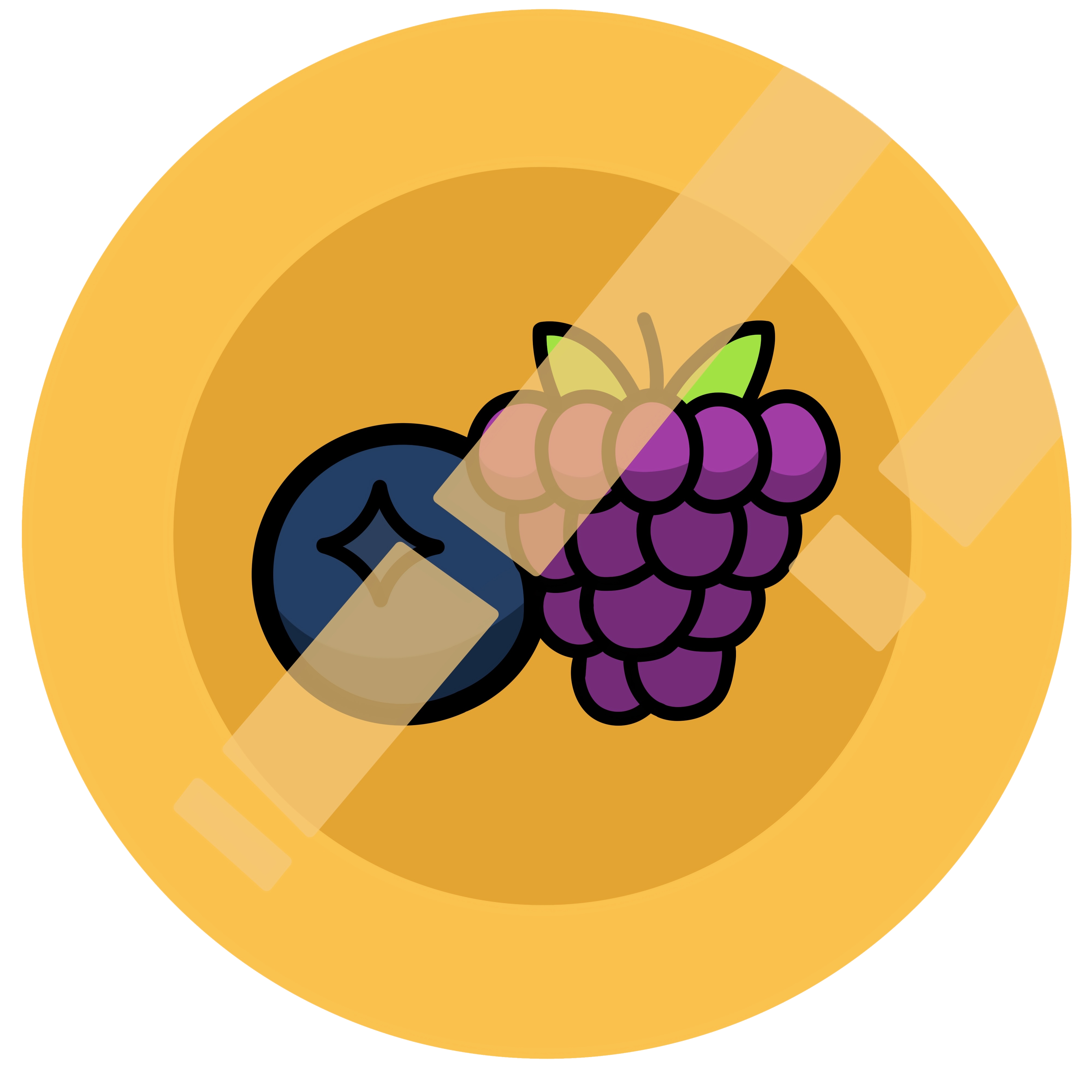 Berries Icon